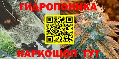 2c-b Дубна