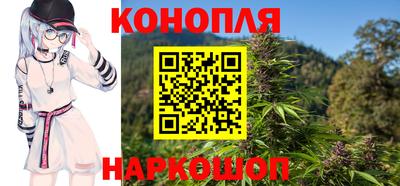 стафф Донской
