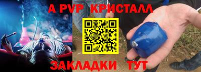 стафф Донской