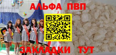стафф Донской