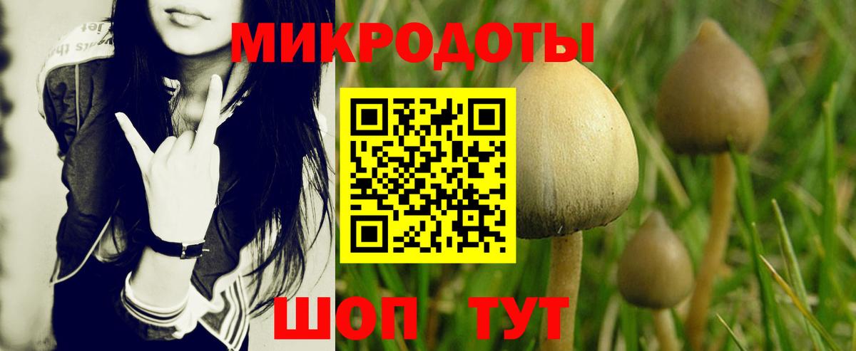 Псилоцибиновые грибы MAGIC MUSHROOMS Нижневартовск